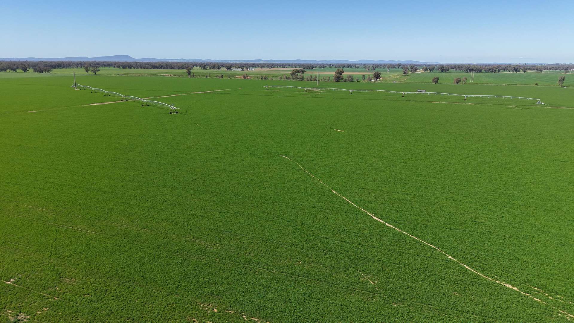 Tiagarra, 339 New Grenfell Road, Forbes For Sale by Farmbuy.com - image 8