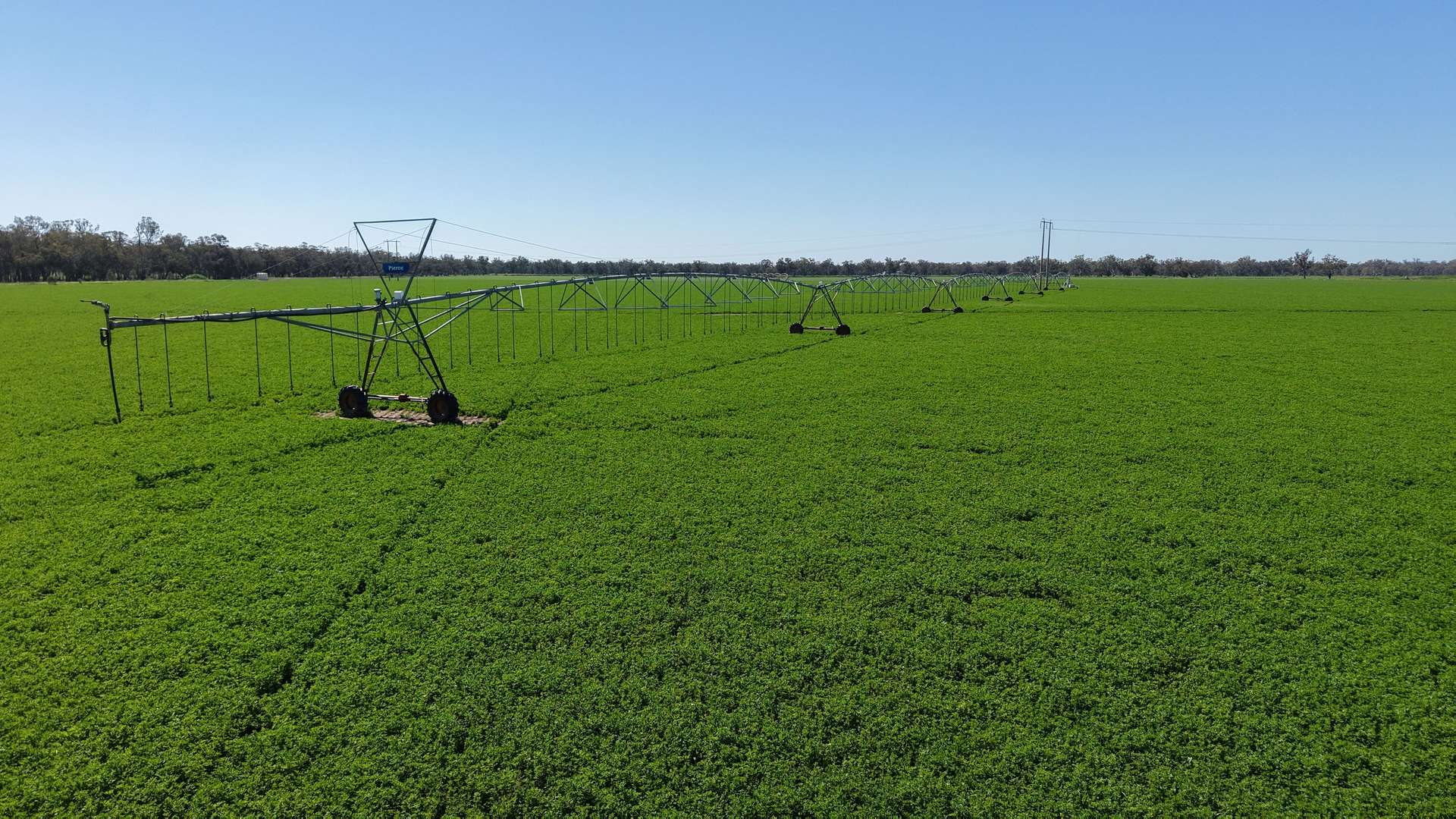 Tiagarra, 339 New Grenfell Road, Forbes For Sale by Farmbuy.com - image 2