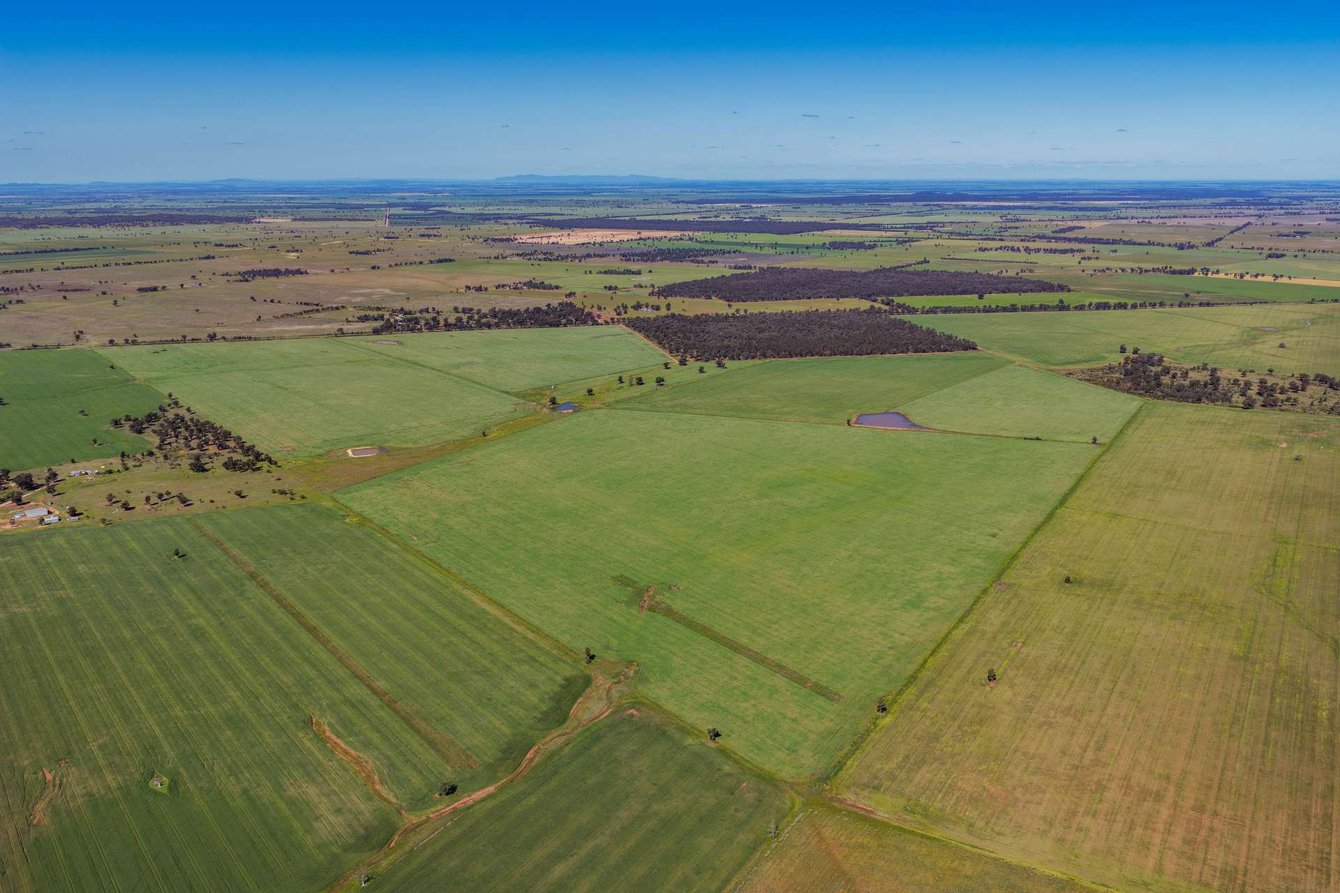 1593 Wamboyne Road, West Wyalong For Sale by Farmbuy.com - image 10