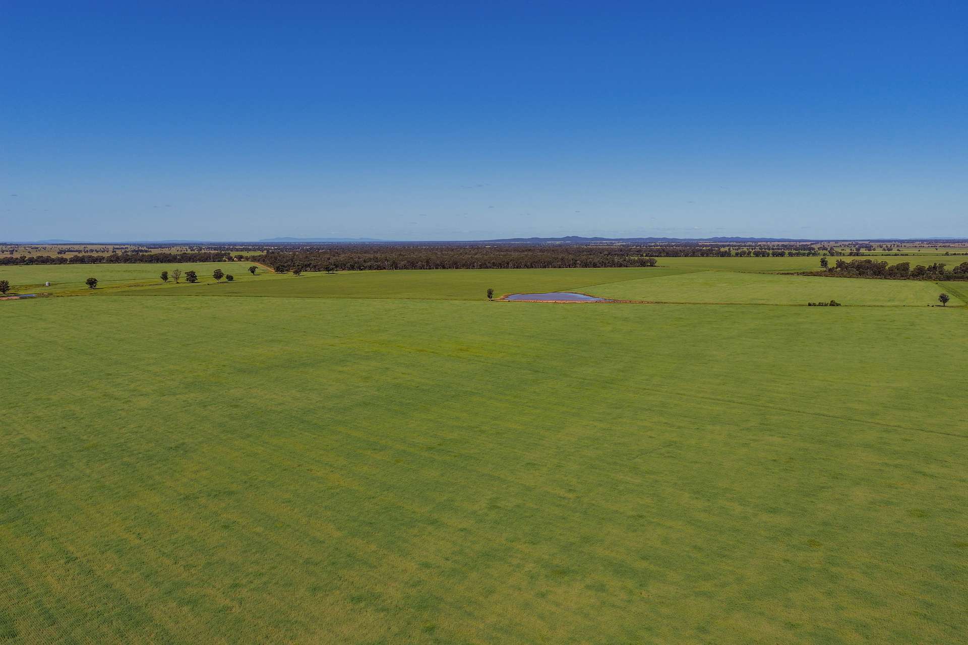 1593 Wamboyne Road, West Wyalong For Sale by Farmbuy.com - image 5