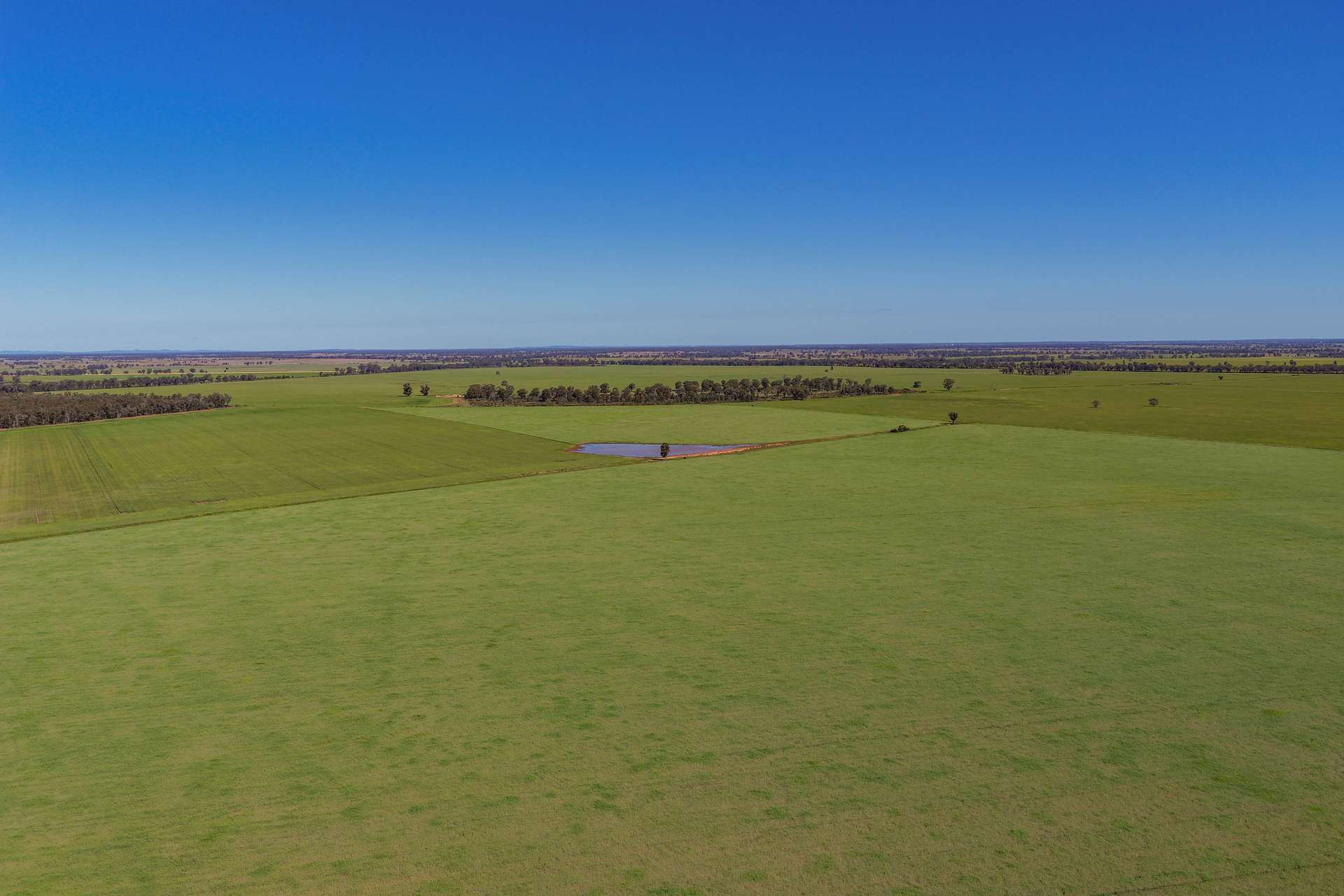 1593 Wamboyne Road, West Wyalong For Sale by Farmbuy.com - image 4