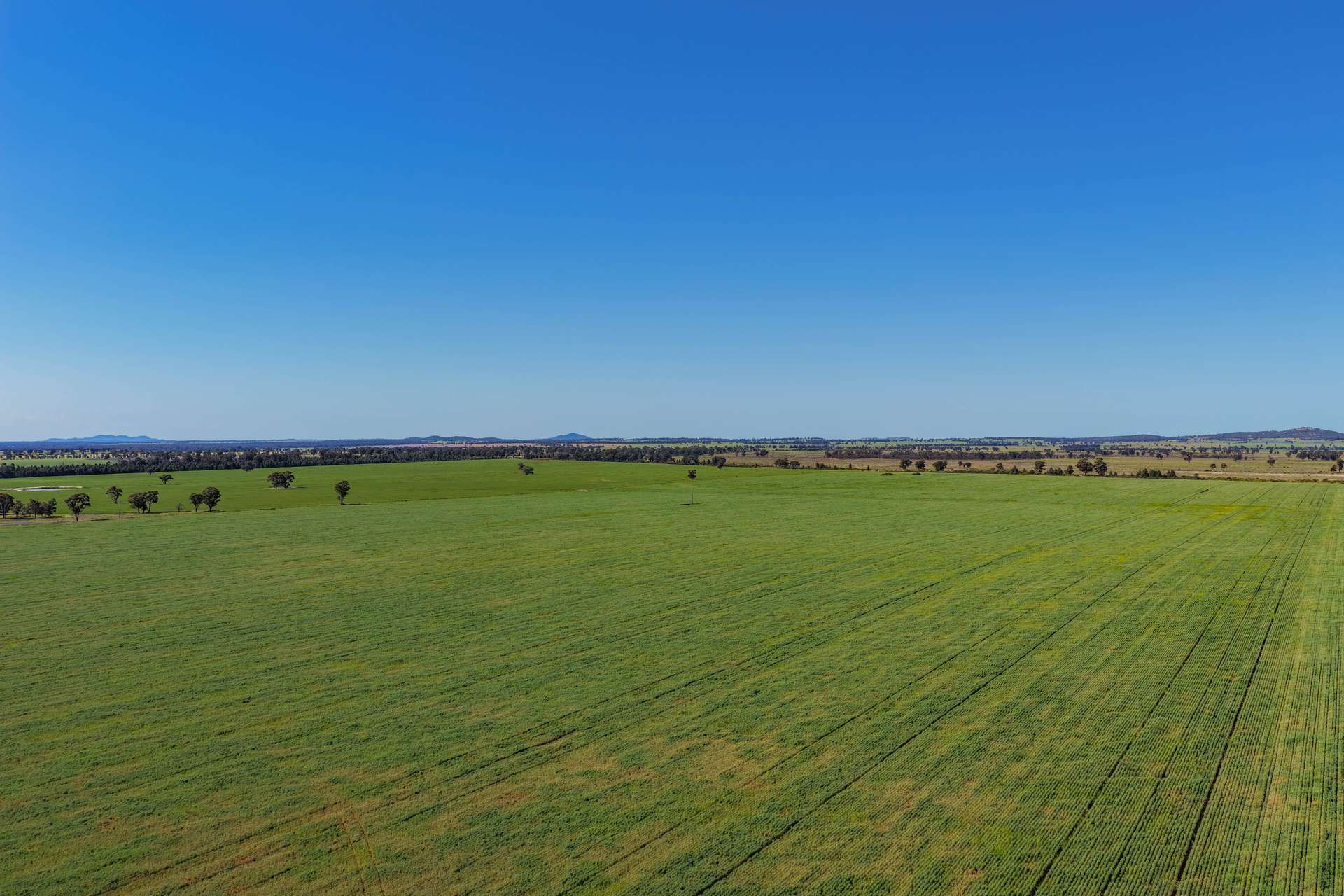1593 Wamboyne Road, West Wyalong For Sale by Farmbuy.com - image 8