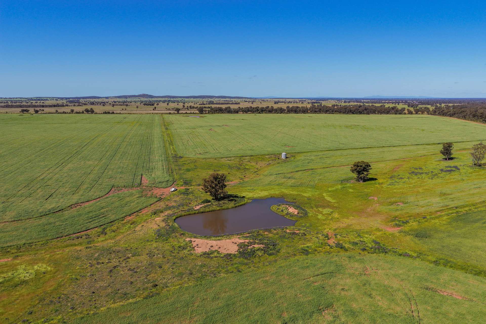1593 Wamboyne Road, West Wyalong For Sale by Farmbuy.com - image 6