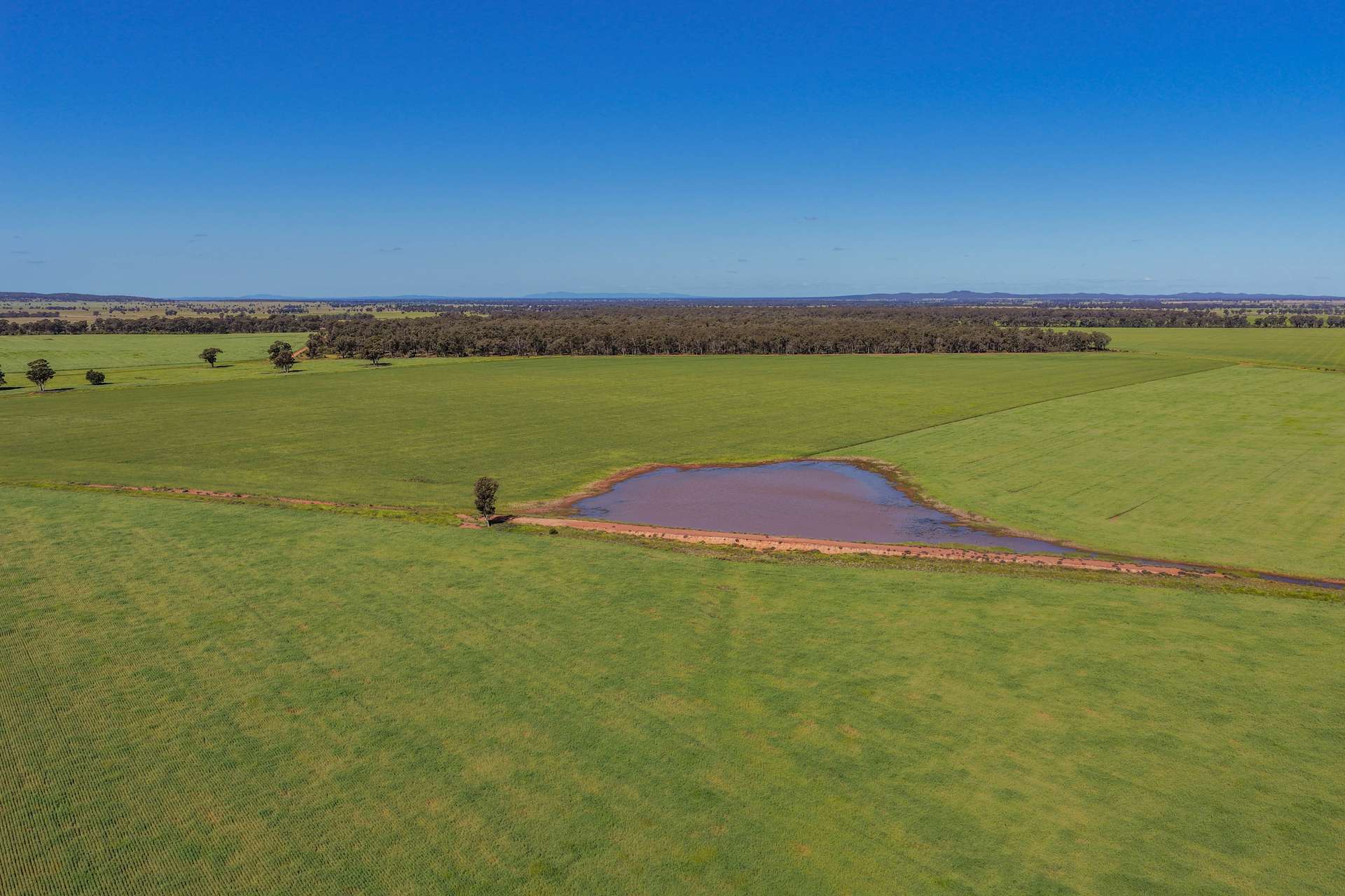 1593 Wamboyne Road, West Wyalong For Sale by Farmbuy.com - image 2