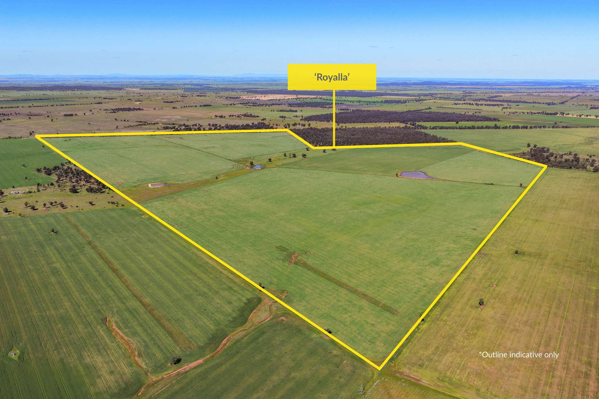 1593 Wamboyne Road, West Wyalong For Sale by Farmbuy.com - image 1