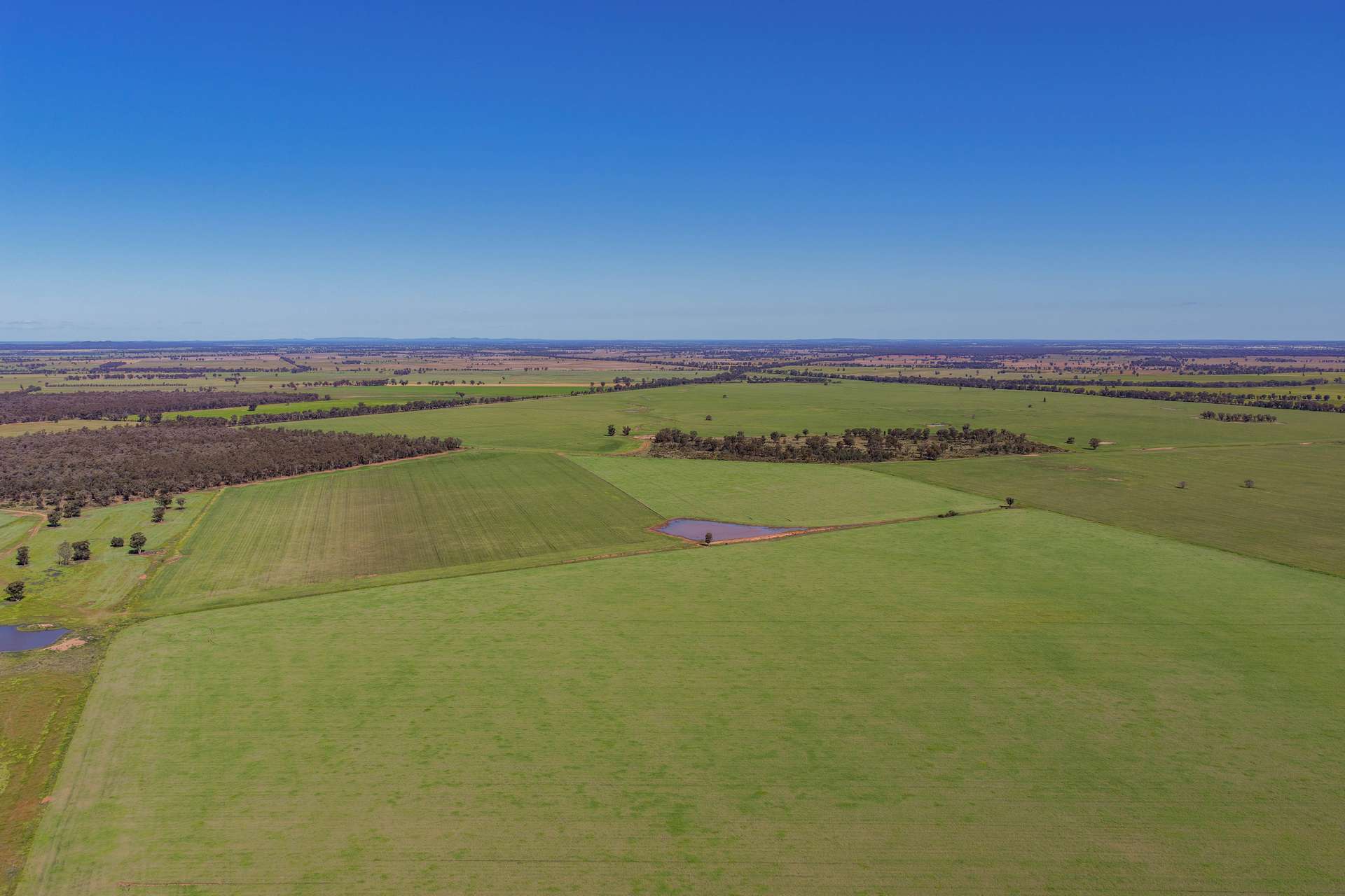 1593 Wamboyne Road, West Wyalong For Sale by Farmbuy.com - image 7