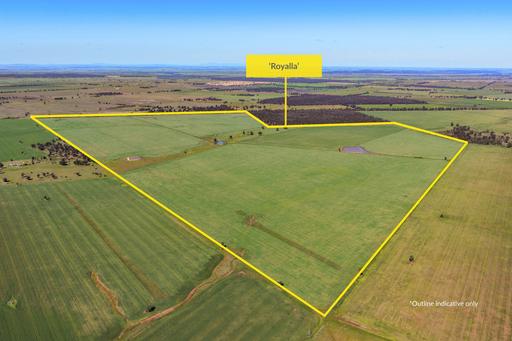 Farm For Sale - NSW - West Wyalong - 2671 - 'Royalla' | Quality Cropping Country in a Prime Location 