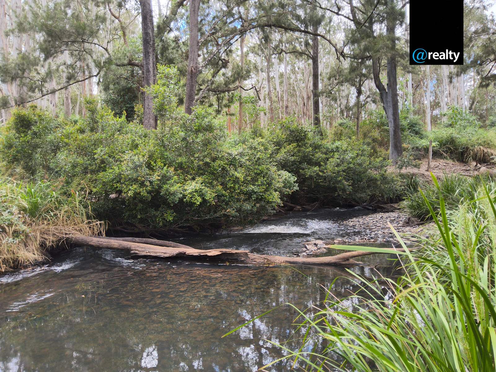 105 Jones Road, Tumoulin For Sale by Farmbuy.com - image 26
