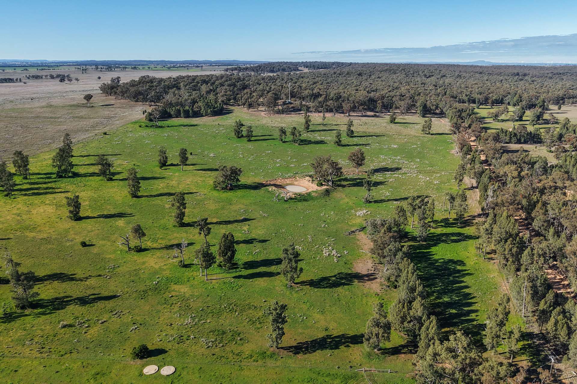 11 Dubbo Street, Elong Elong For Sale by Farmbuy.com - image 25
