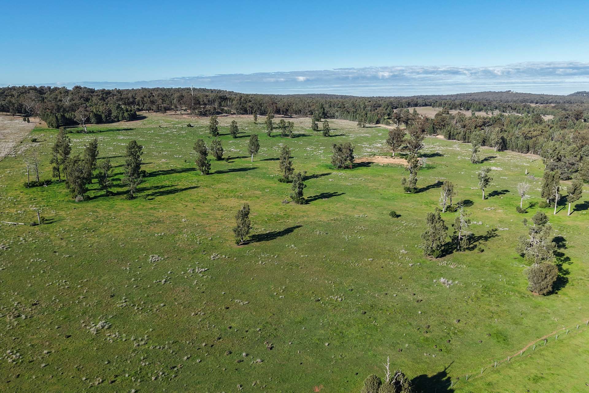 11 Dubbo Street, Elong Elong For Sale by Farmbuy.com - image 27