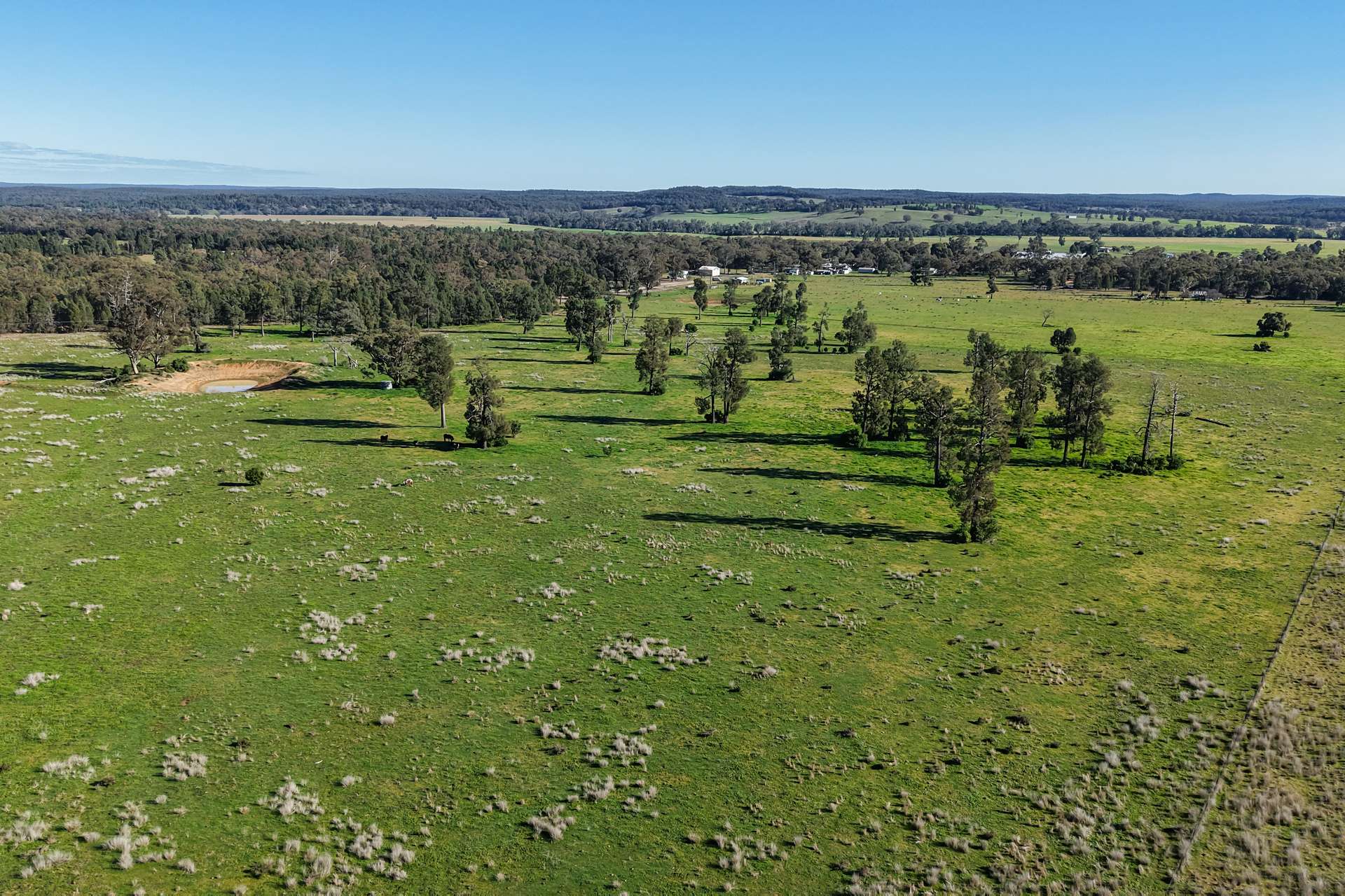 11 Dubbo Street, Elong Elong For Sale by Farmbuy.com - image 29