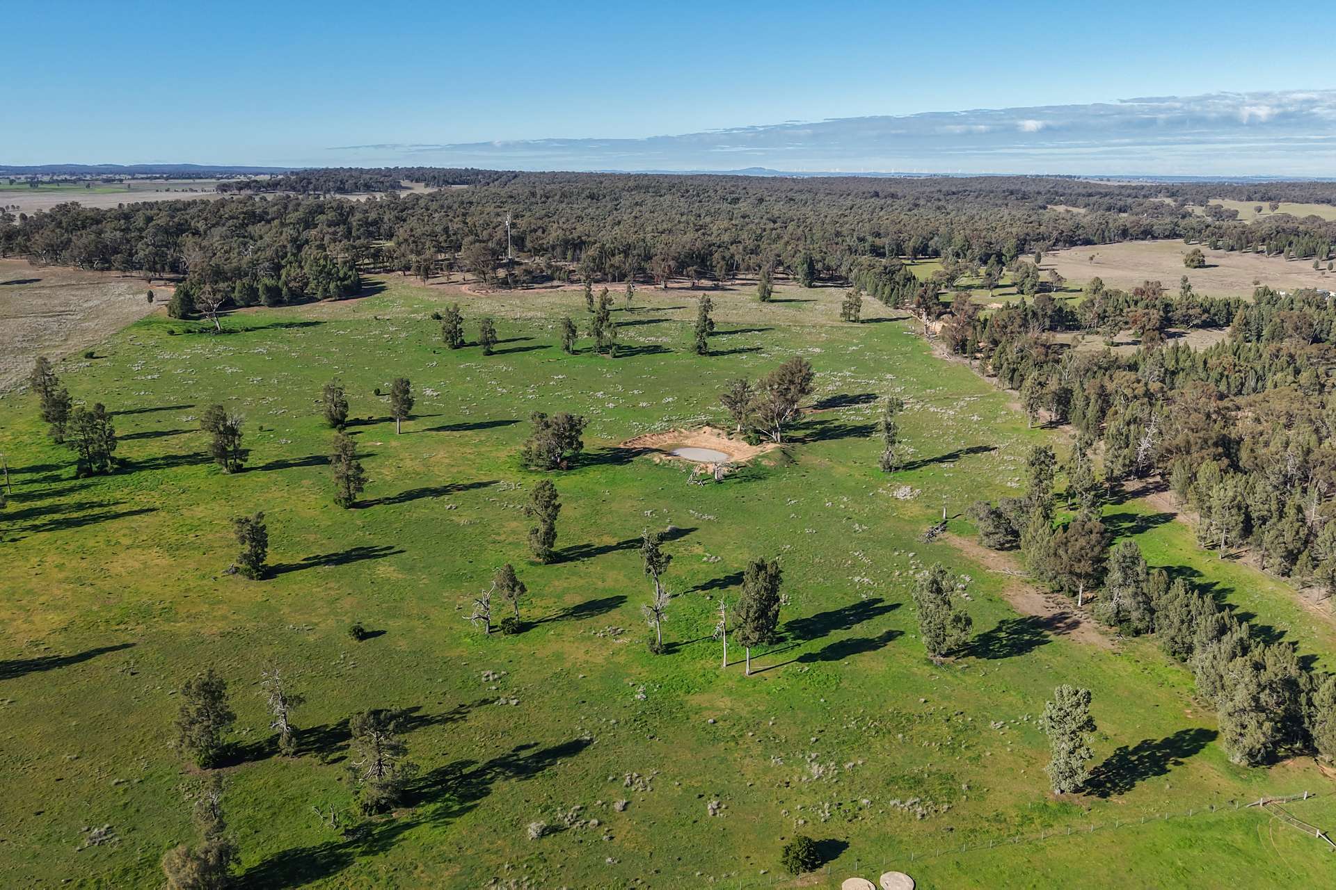 11 Dubbo Street, Elong Elong For Sale by Farmbuy.com - image 26