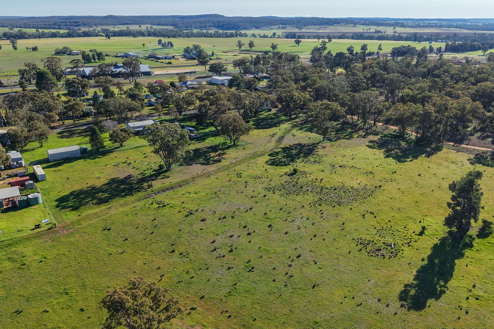 11 Dubbo Street, Elong Elong For Sale by Farmbuy.com - image 20