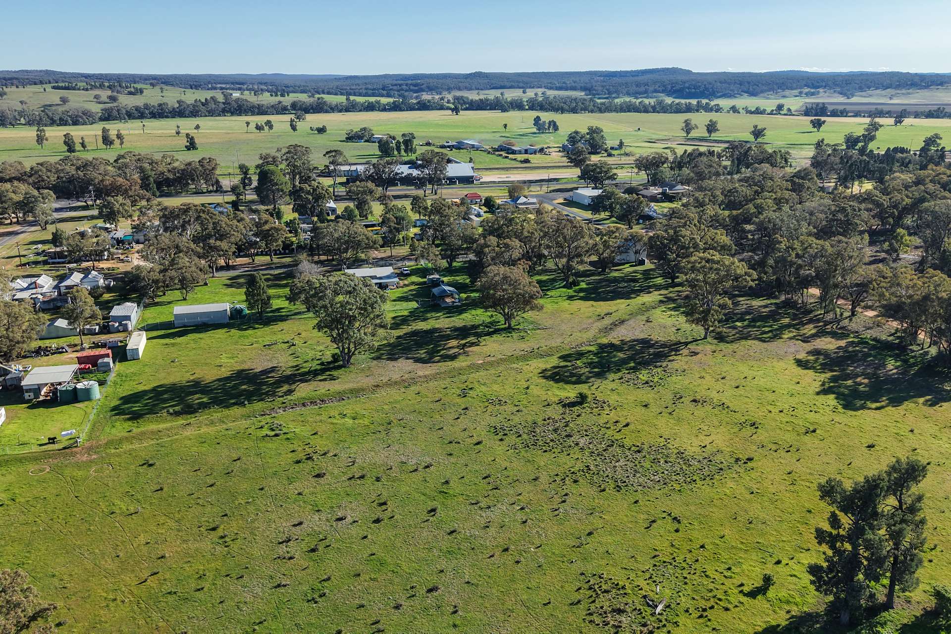 11 Dubbo Street, Elong Elong For Sale by Farmbuy.com - image 19