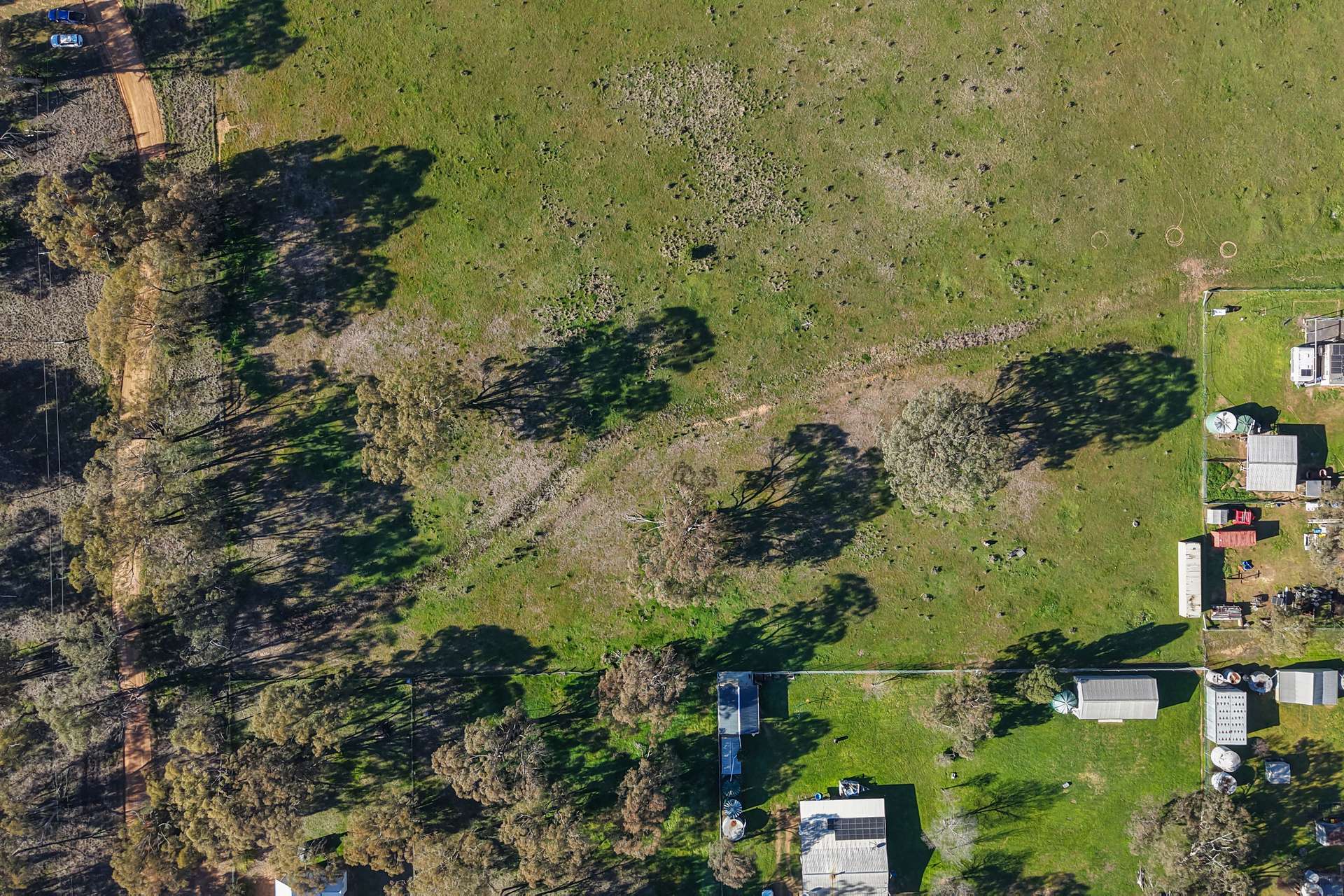 11 Dubbo Street, Elong Elong For Sale by Farmbuy.com - image 7