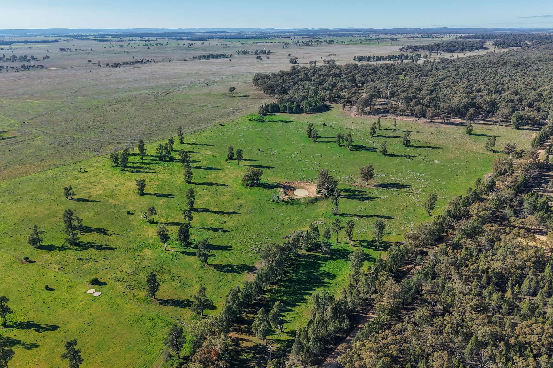 11 Dubbo Street, Elong Elong For Sale by Farmbuy.com - image 23
