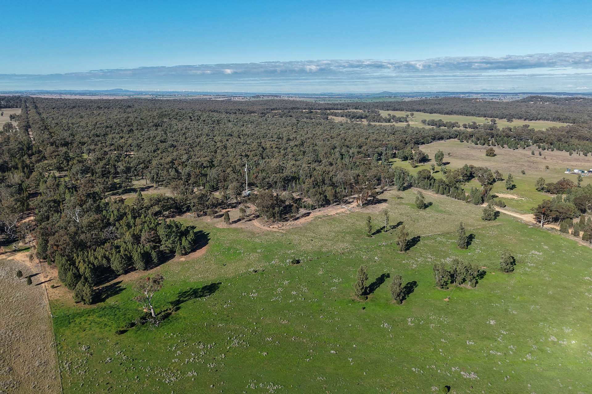 11 Dubbo Street, Elong Elong For Sale by Farmbuy.com - image 28