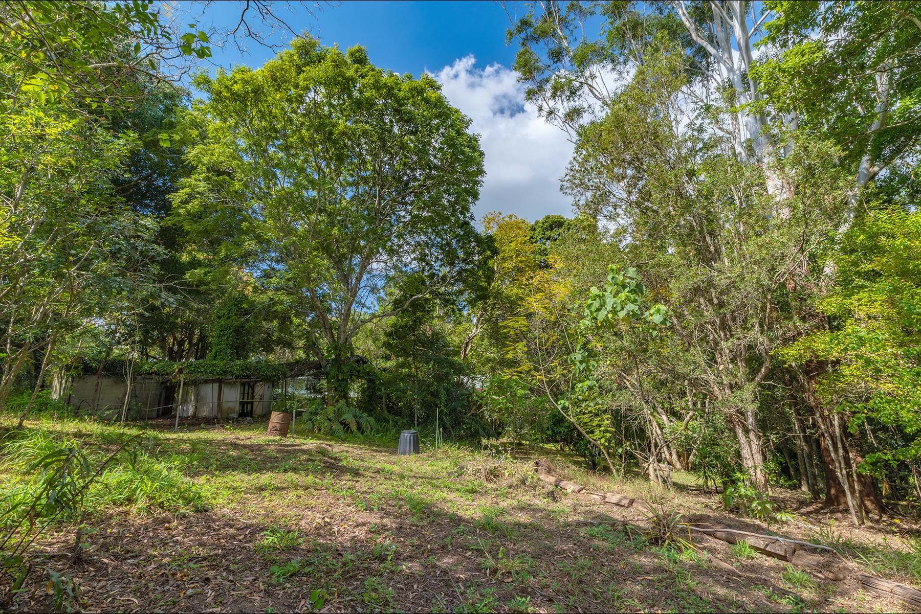 40 Reids Road, West Woombye For Sale by Farmbuy.com - image 24