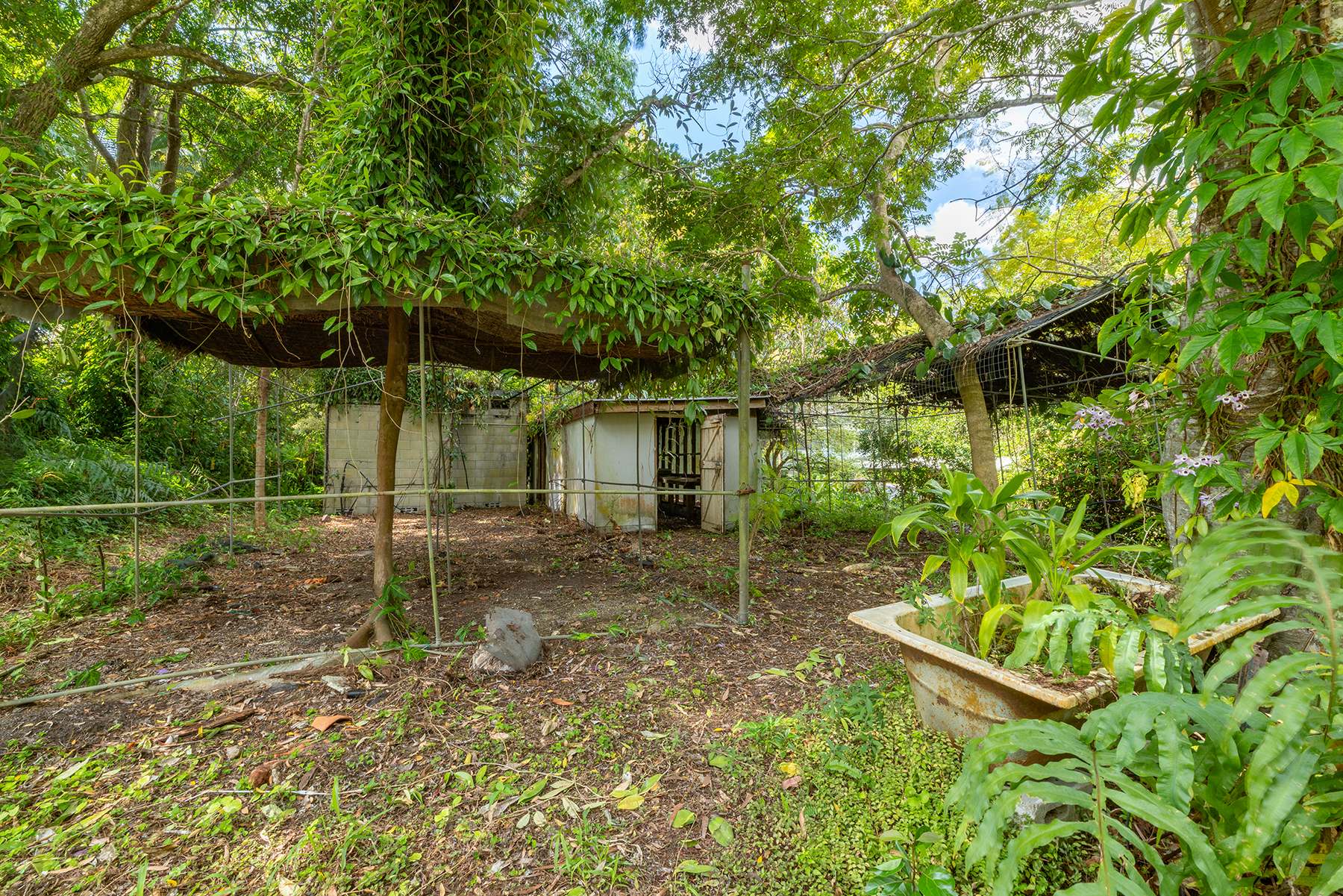 40 Reids Road, West Woombye For Sale by Farmbuy.com - image 25