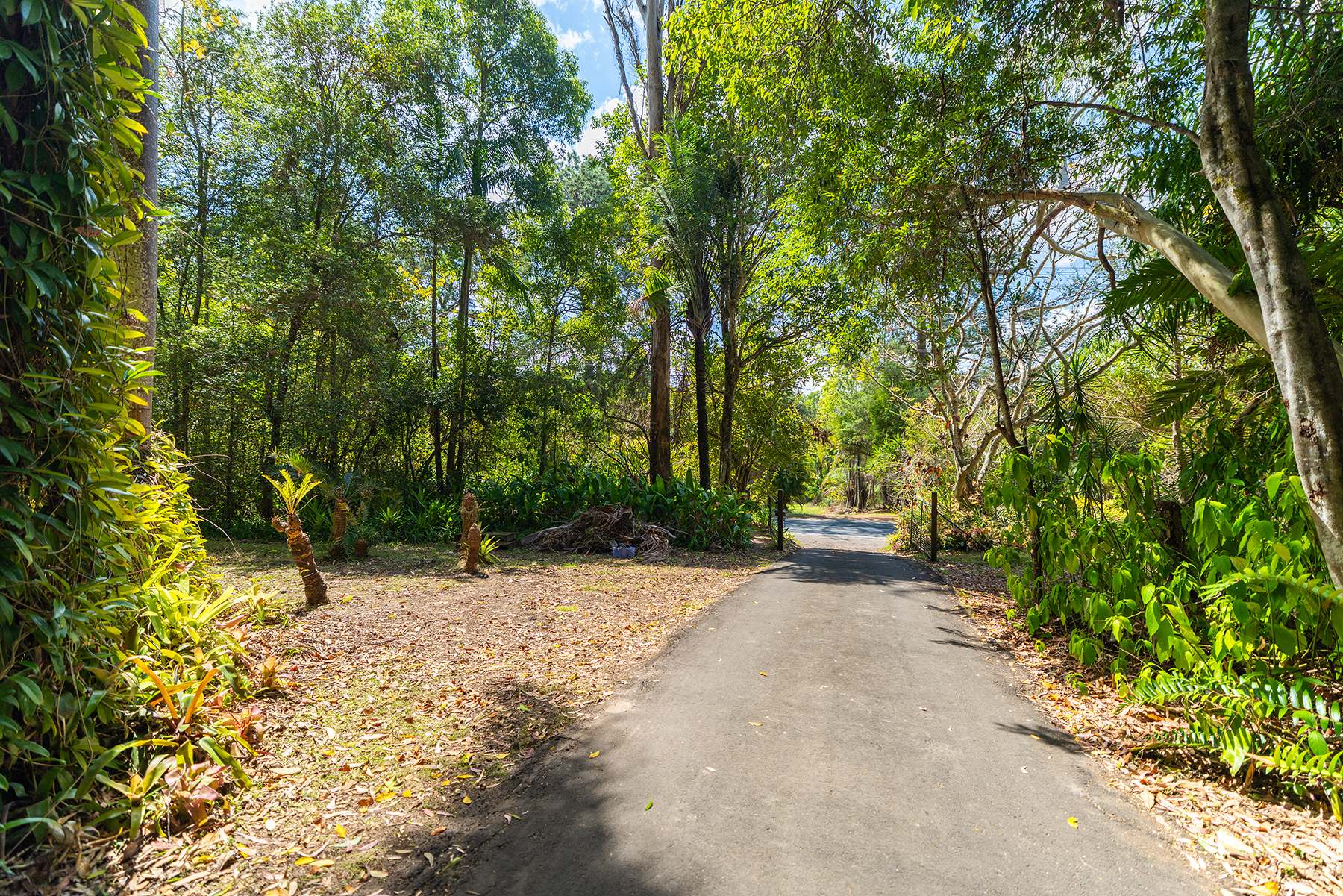 40 Reids Road, West Woombye For Sale by Farmbuy.com - image 3