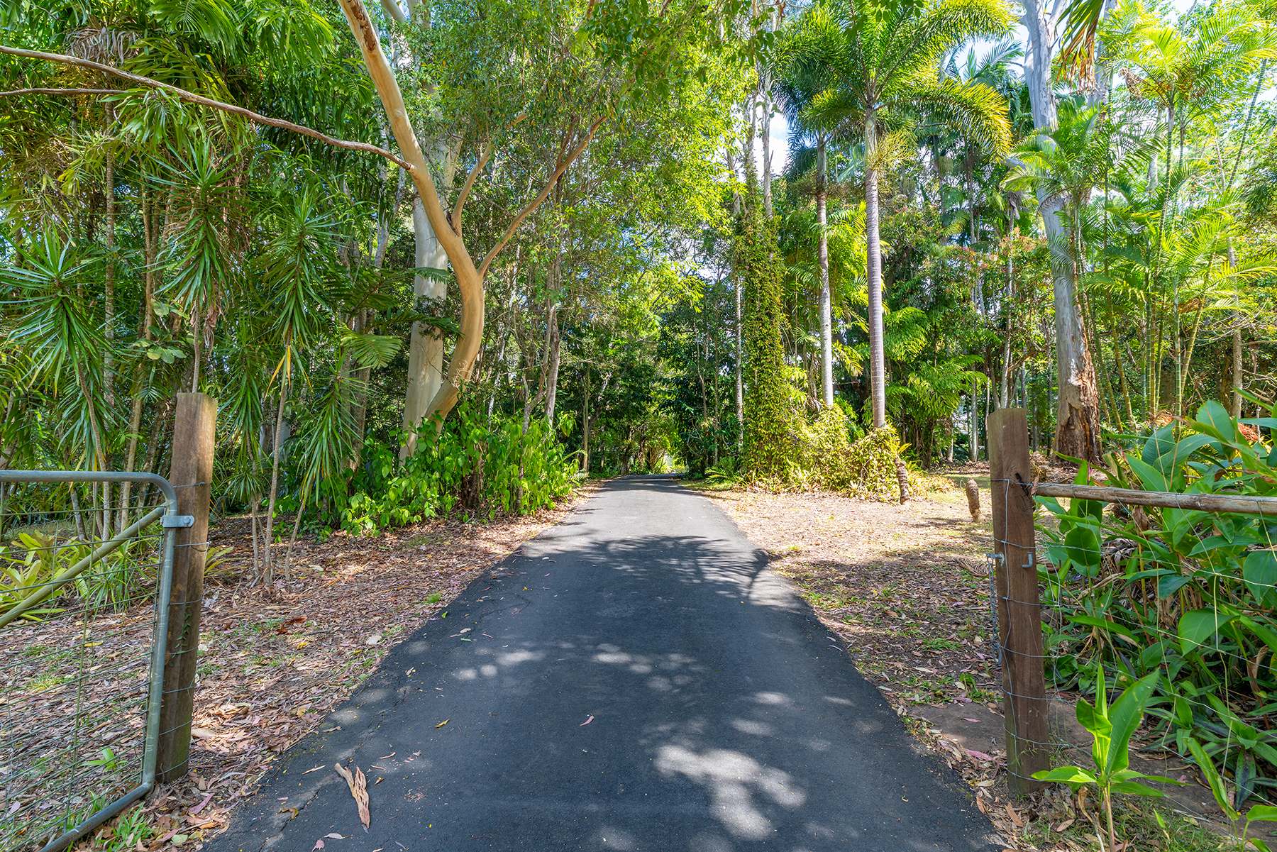 40 Reids Road, West Woombye For Sale by Farmbuy.com - image 2