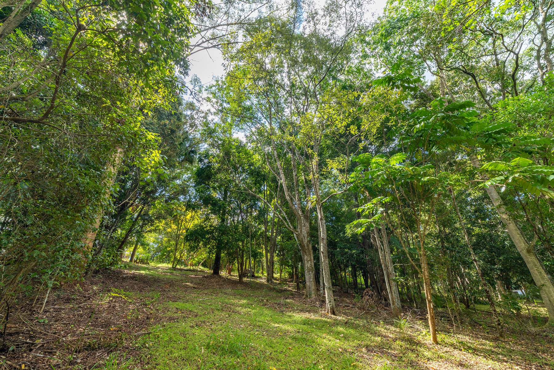 40 Reids Road, West Woombye For Sale by Farmbuy.com - image 26