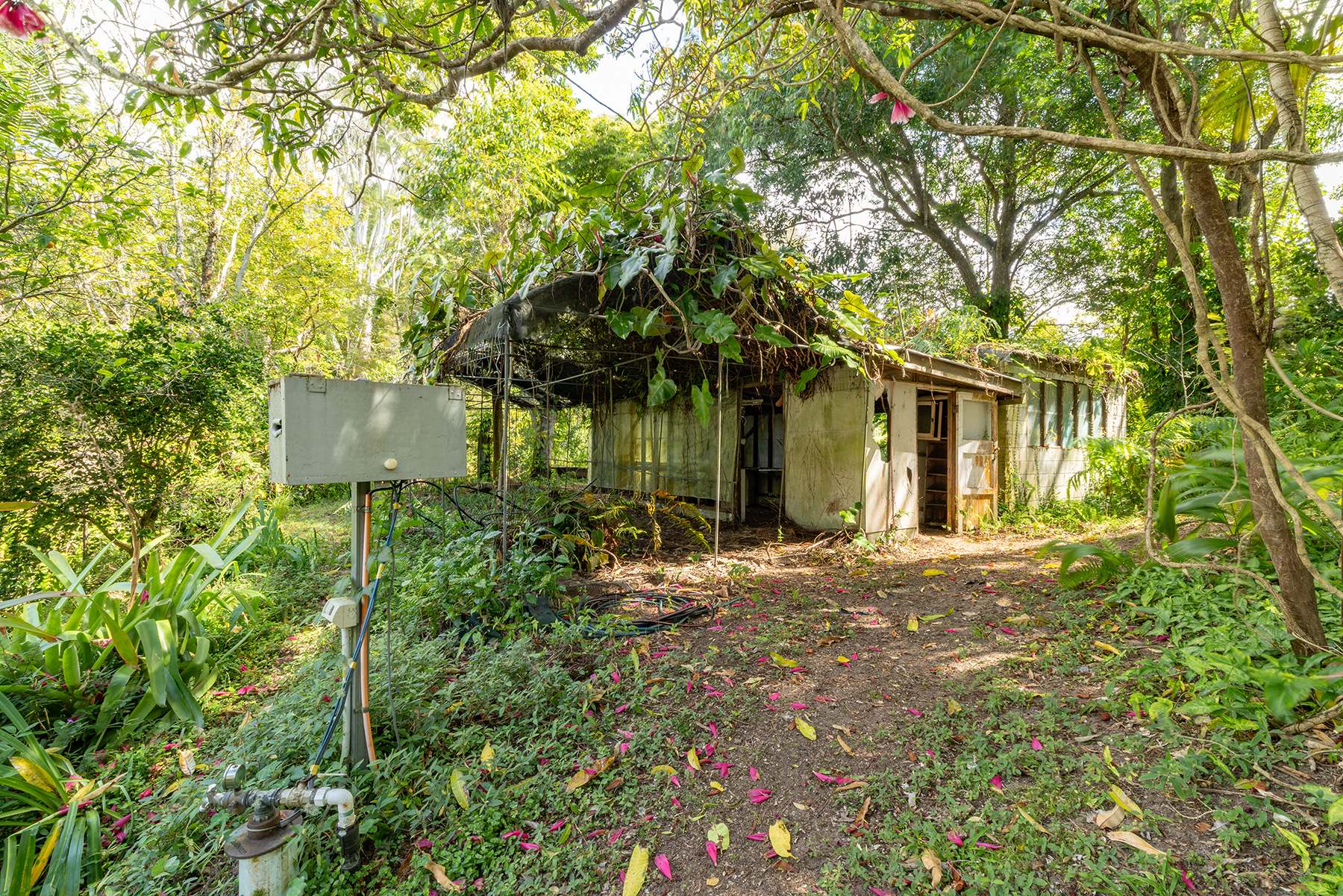 40 Reids Road, West Woombye For Sale by Farmbuy.com - image 22