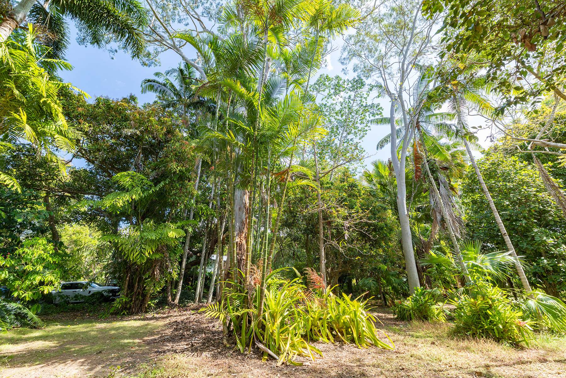 40 Reids Road, West Woombye For Sale by Farmbuy.com - image 4