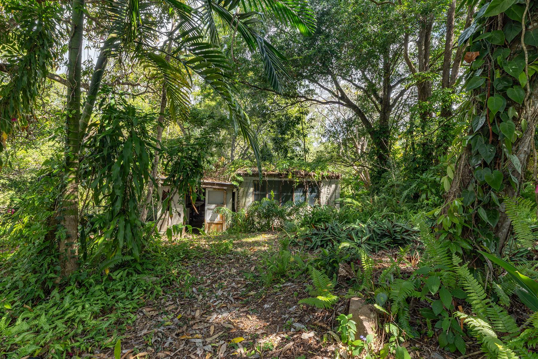 40 Reids Road, West Woombye For Sale by Farmbuy.com - image 23