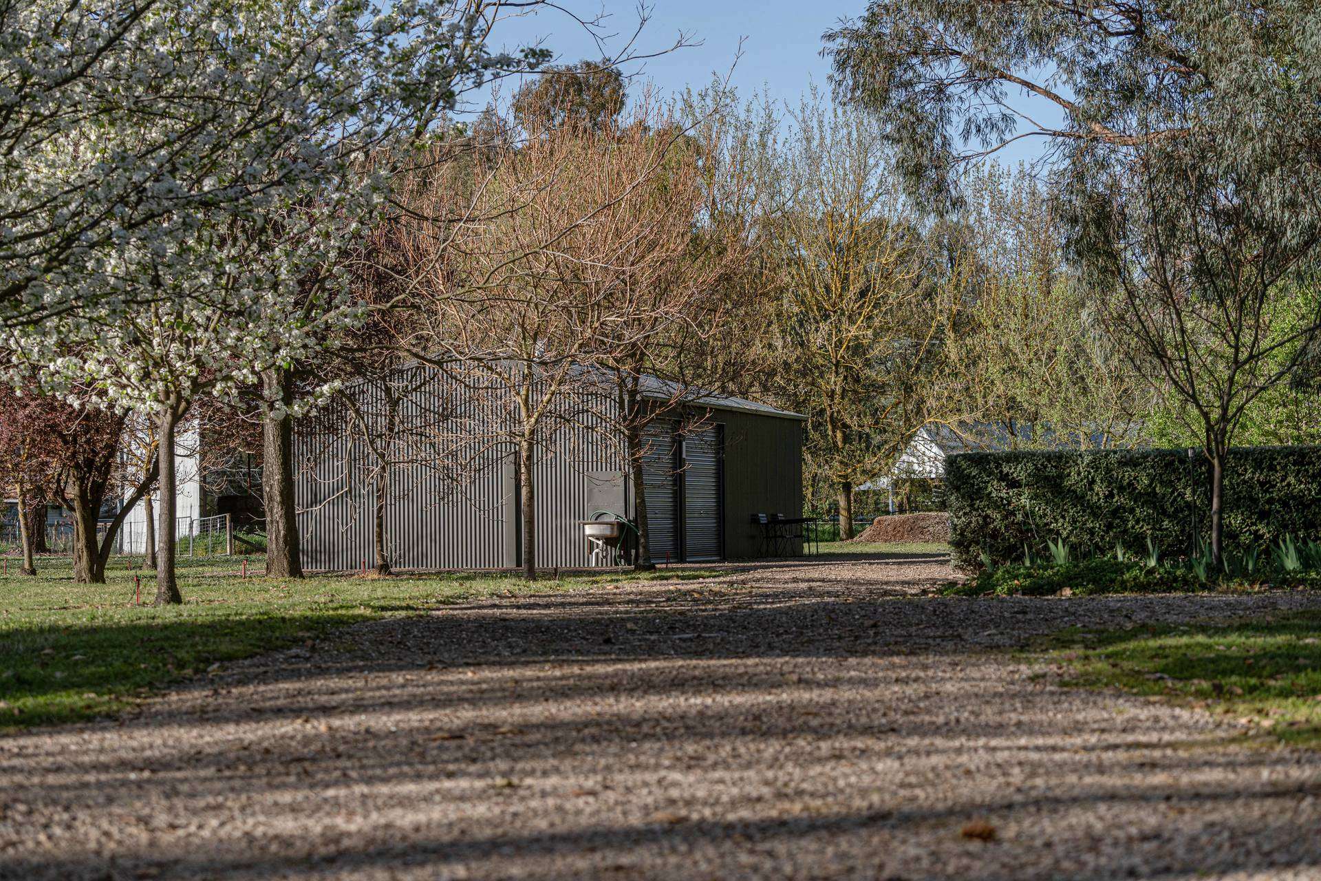 133 Jingellic Road, Holbrook For Sale by Farmbuy.com - image 25