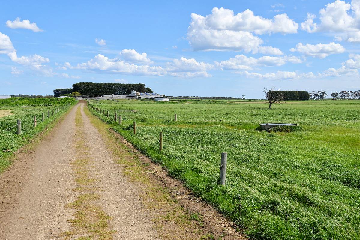 185 Greenhills Lane, Winslow For Sale by Farmbuy.com - image 10