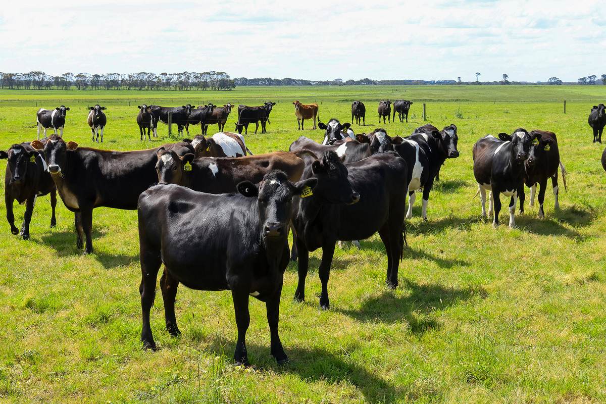 185 Greenhills Lane, Winslow For Sale by Farmbuy.com - image 25