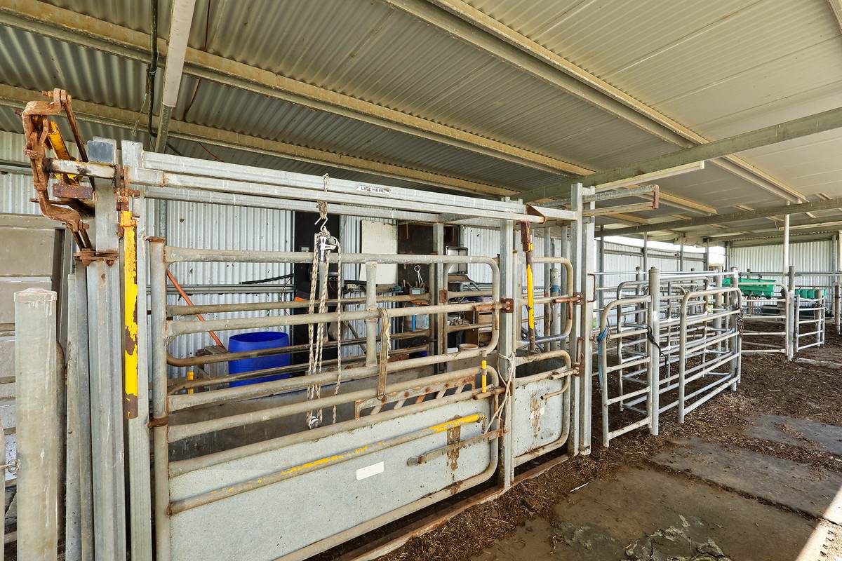 185 Greenhills Lane, Winslow For Sale by Farmbuy.com - image 7