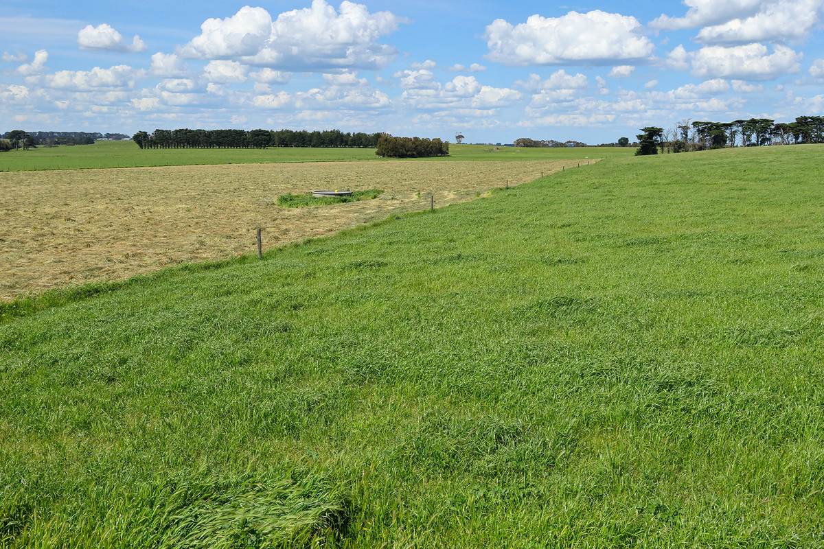 185 Greenhills Lane, Winslow For Sale by Farmbuy.com - image 14