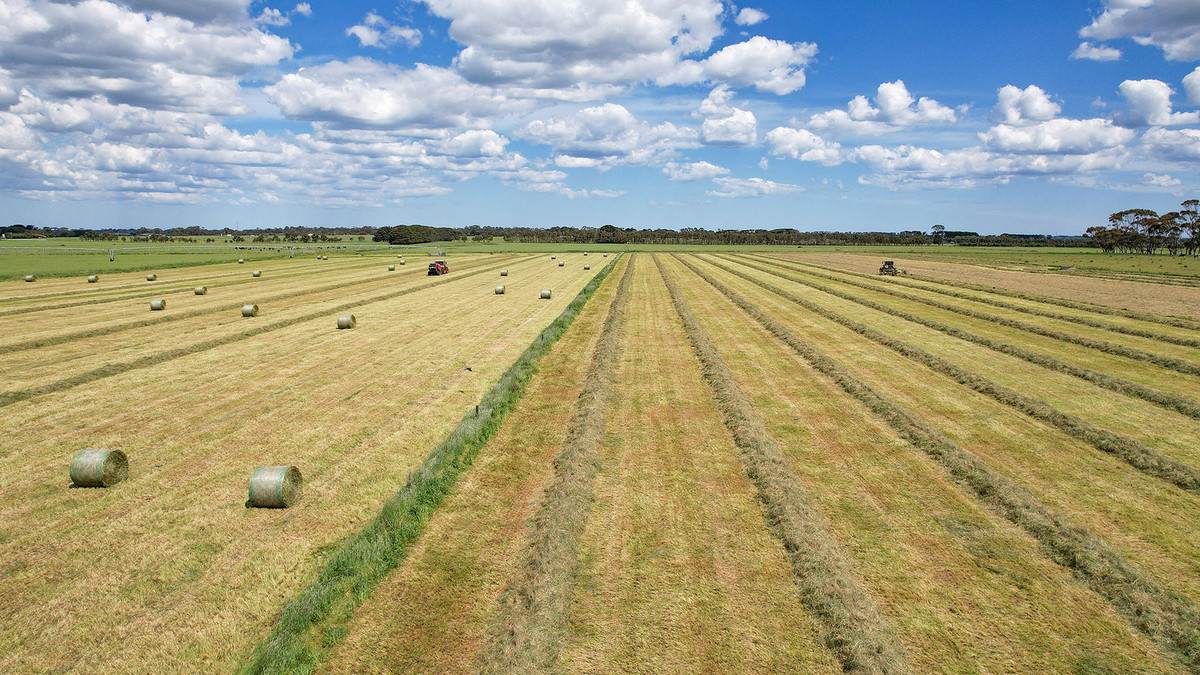 185 Greenhills Lane, Winslow For Sale by Farmbuy.com - image 22