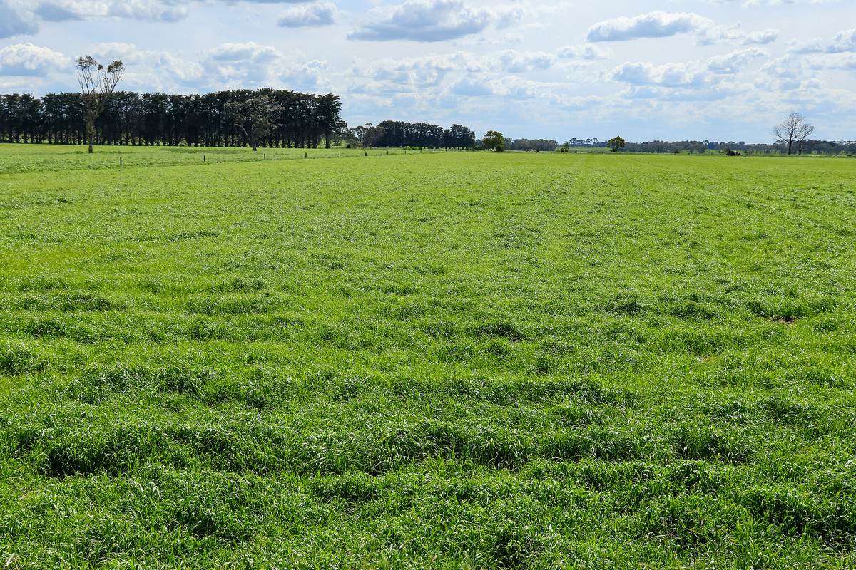 185 Greenhills Lane, Winslow For Sale by Farmbuy.com - image 16
