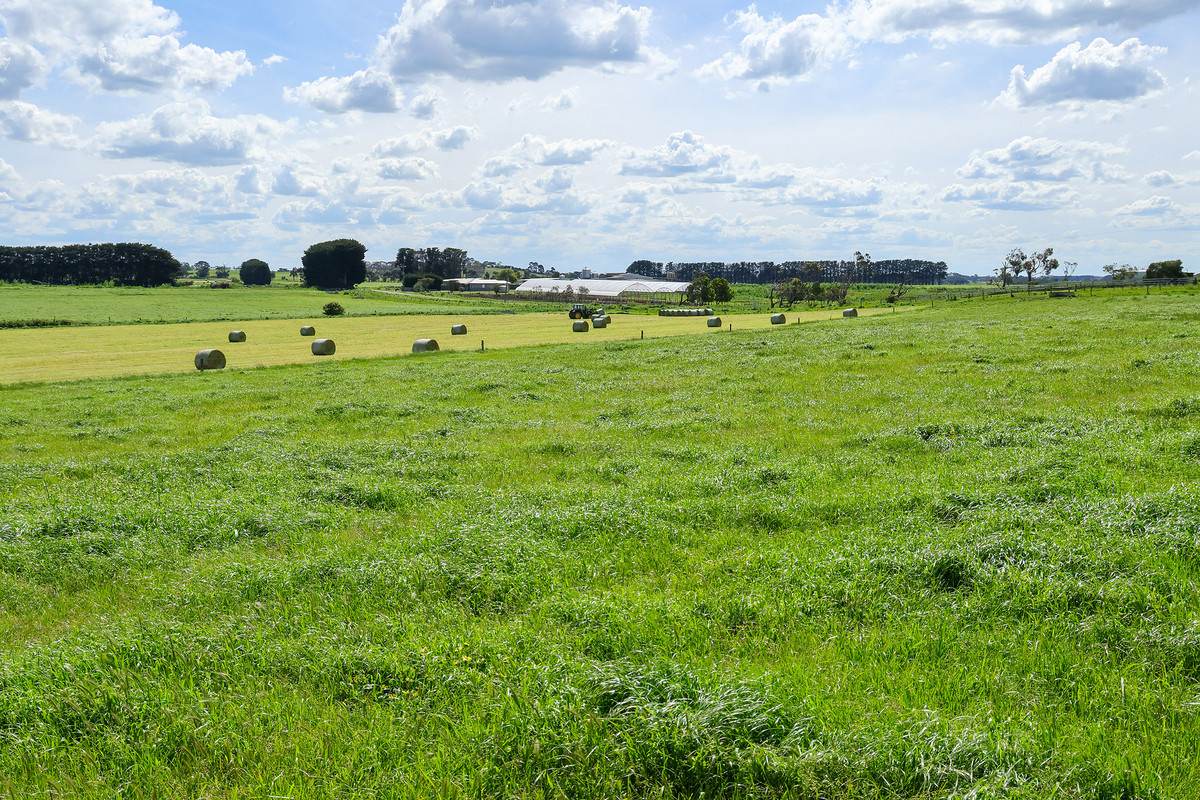 185 Greenhills Lane, Winslow For Sale by Farmbuy.com - image 18