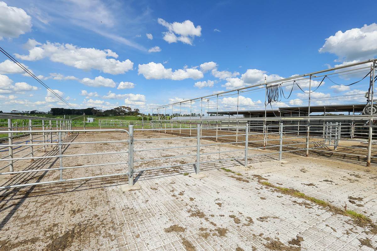 185 Greenhills Lane, Winslow For Sale by Farmbuy.com - image 6