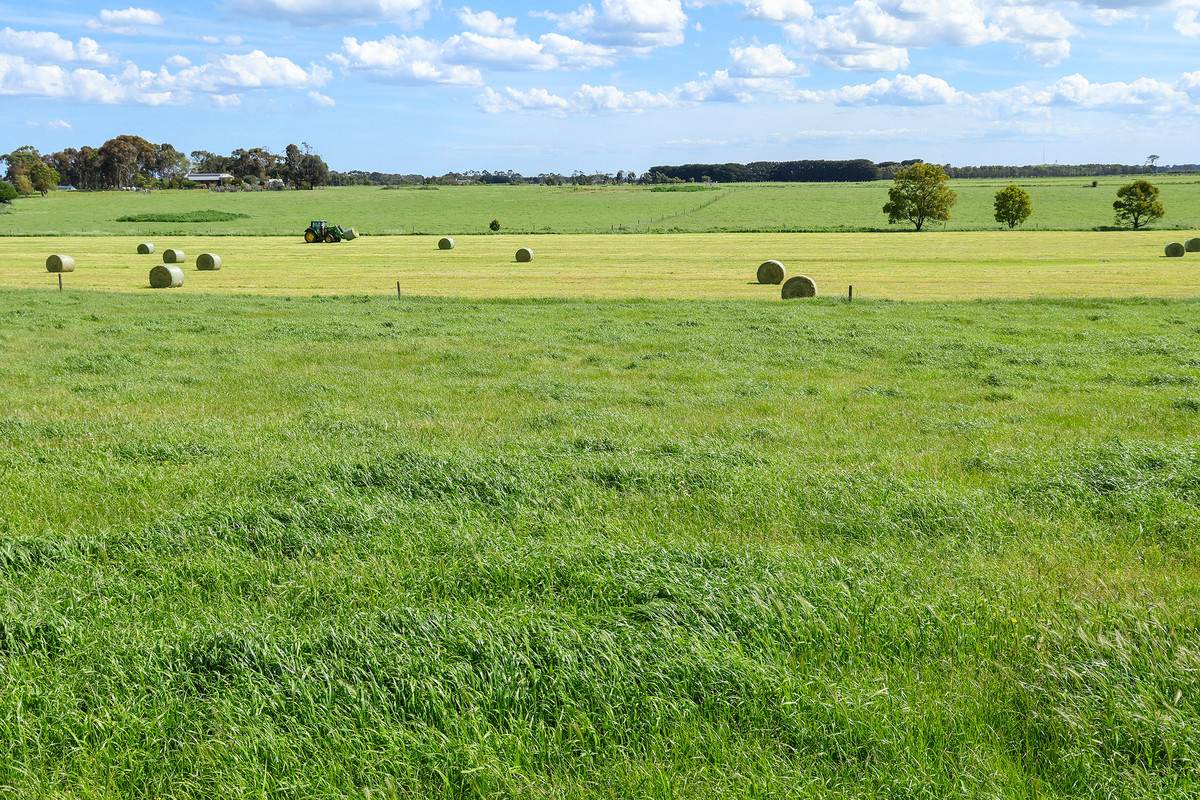 185 Greenhills Lane, Winslow For Sale by Farmbuy.com - image 17