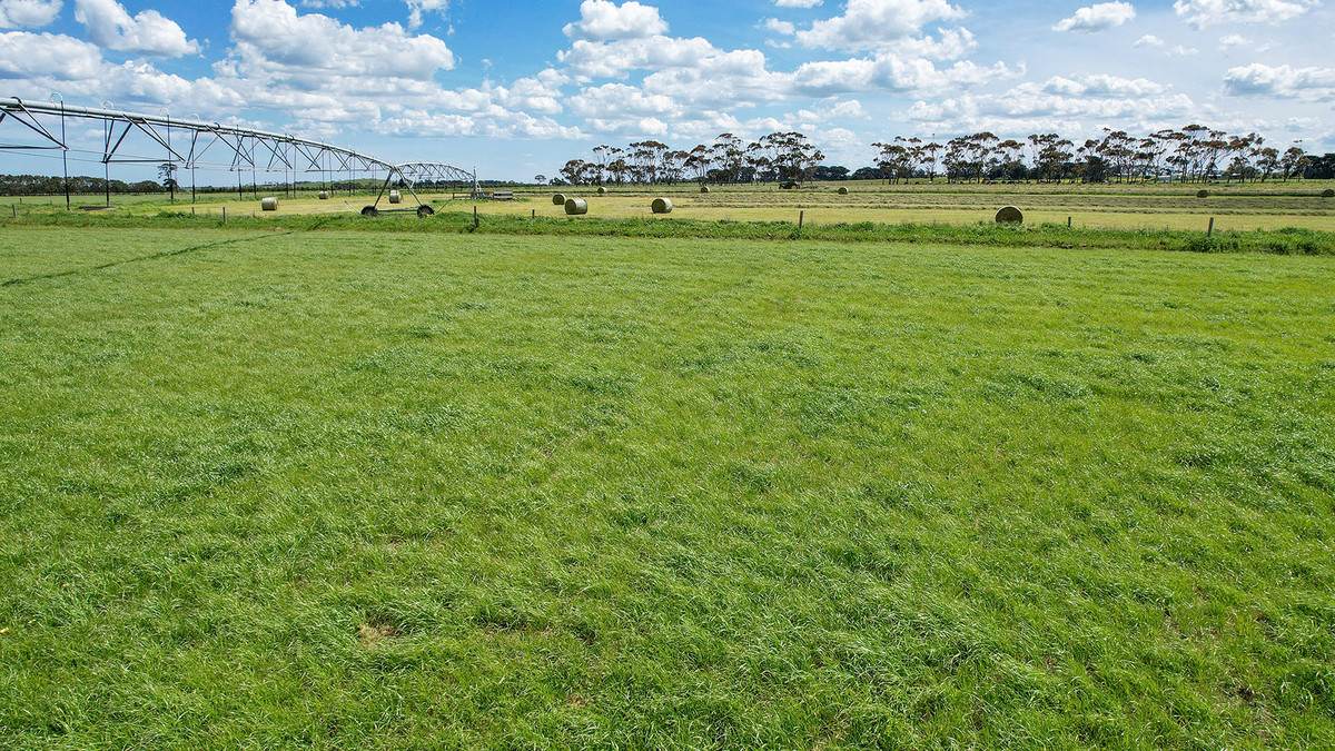 185 Greenhills Lane, Winslow For Sale by Farmbuy.com - image 20