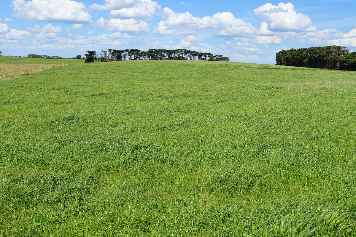 185 Greenhills Lane, Winslow For Sale by Farmbuy.com - image 15
