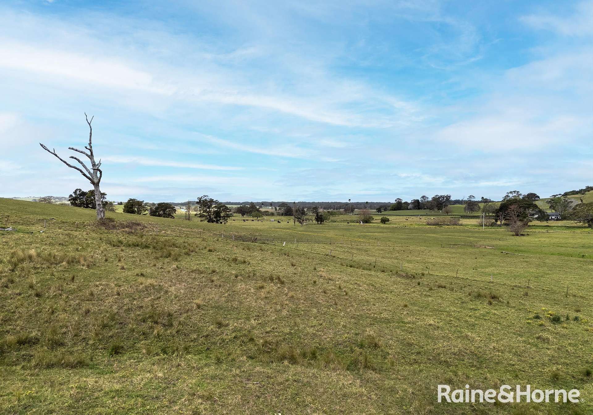 2 Toolijooa Road, Toolijooa Auction by Farmbuy.com - image 13