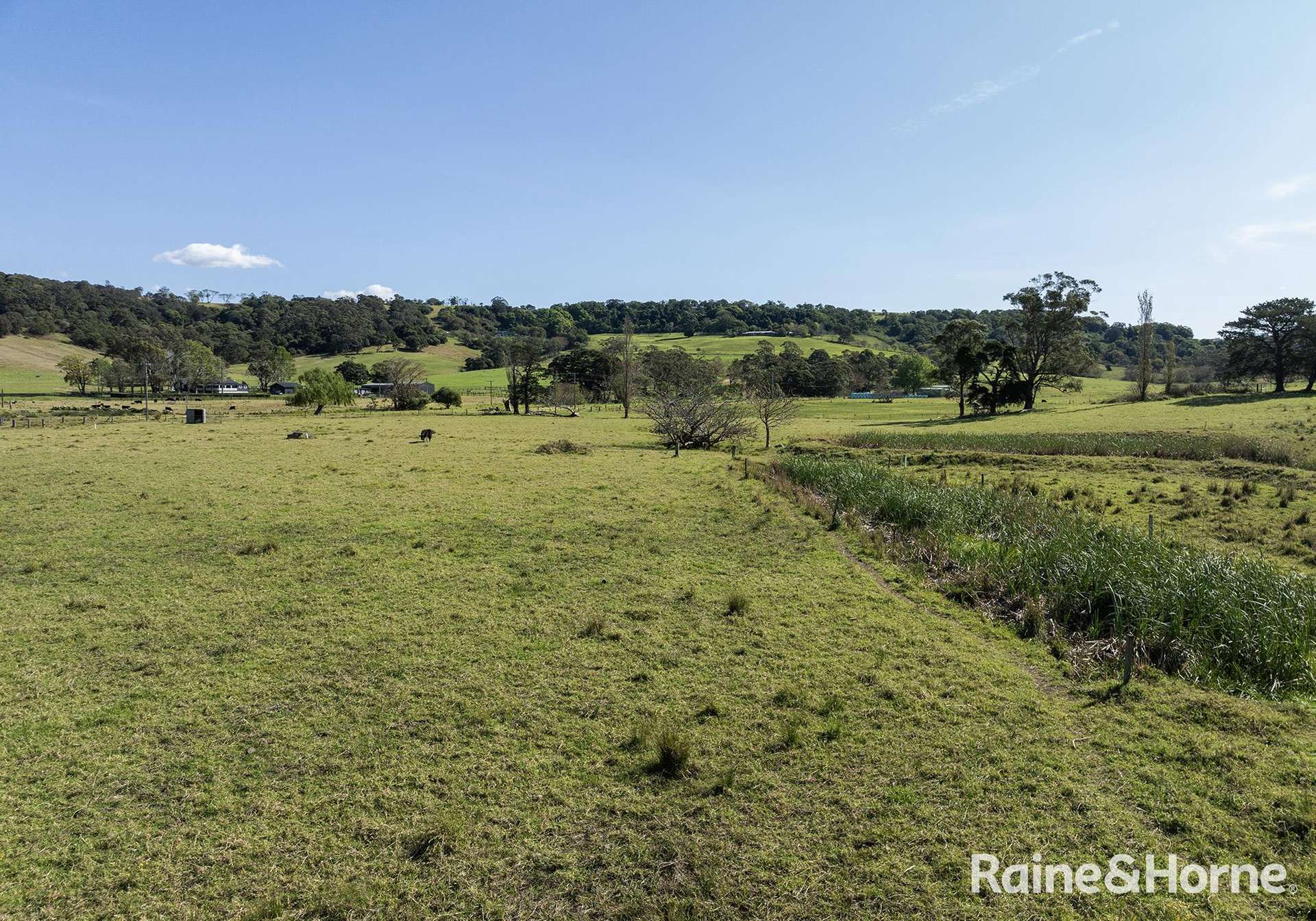 2 Toolijooa Road, Toolijooa Auction by Farmbuy.com - image 8