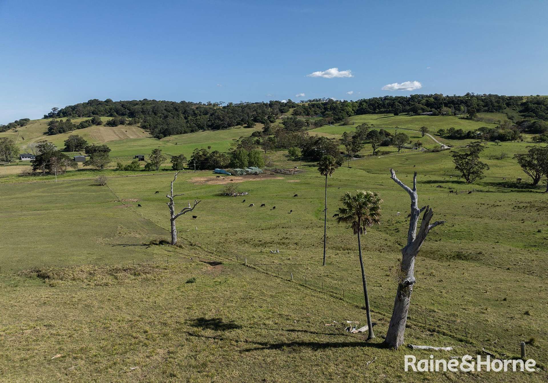 2 Toolijooa Road, Toolijooa Auction by Farmbuy.com - image 10