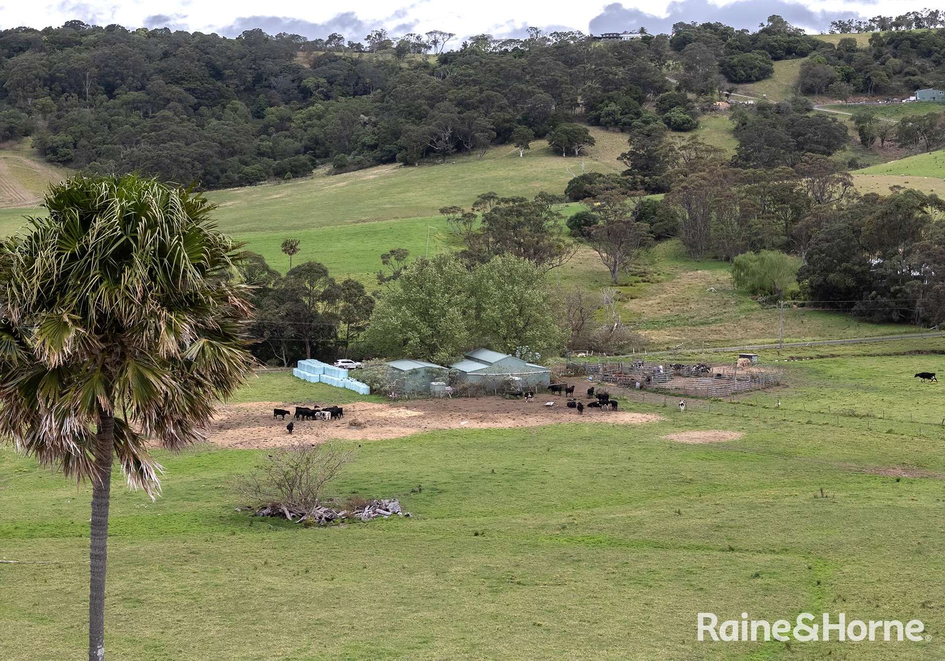 2 Toolijooa Road, Toolijooa Auction by Farmbuy.com - image 15