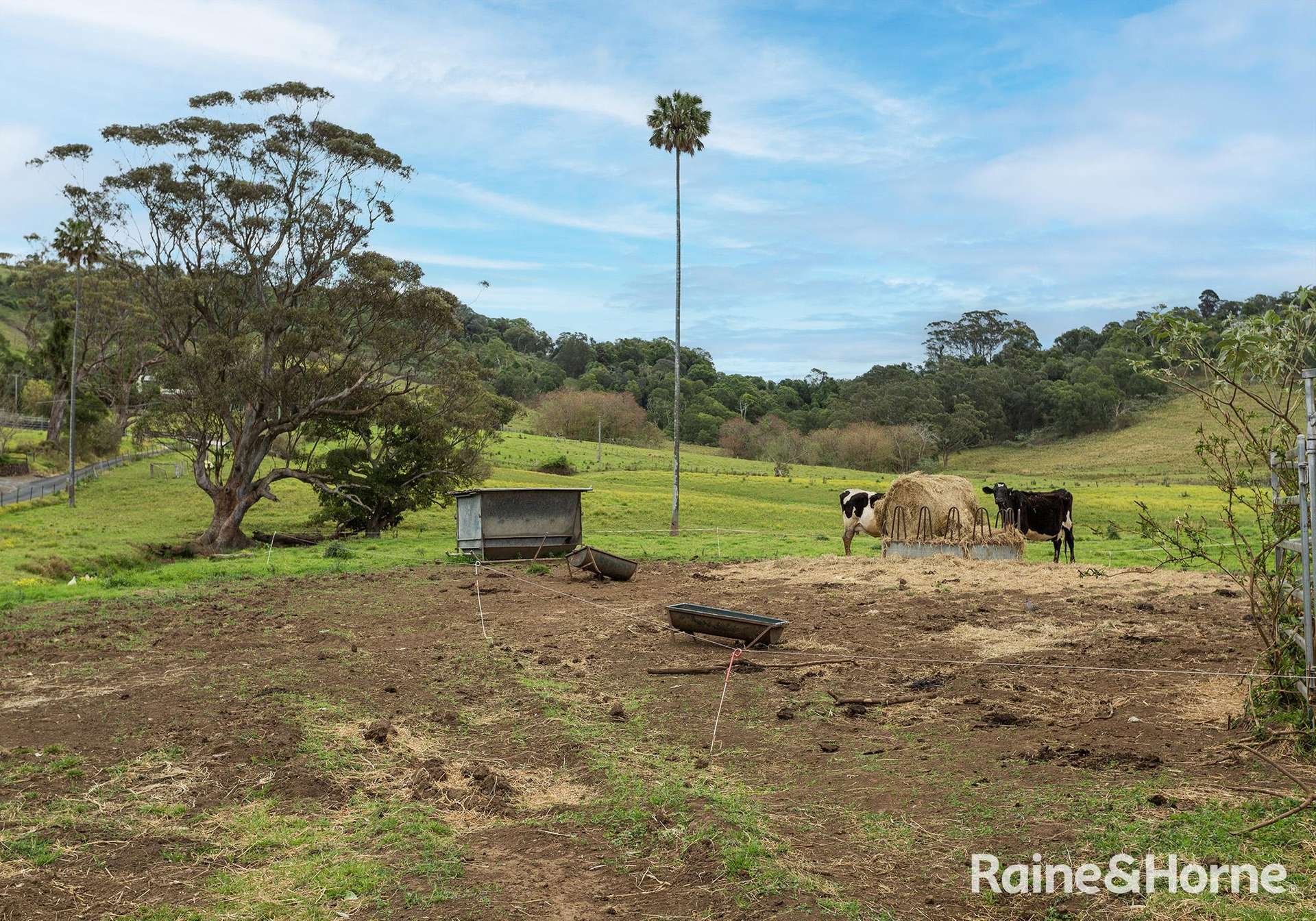 2 Toolijooa Road, Toolijooa Auction by Farmbuy.com - image 6