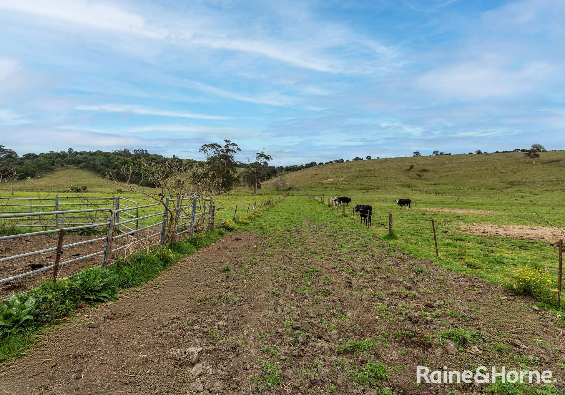 2 Toolijooa Road, Toolijooa Auction by Farmbuy.com - image 7