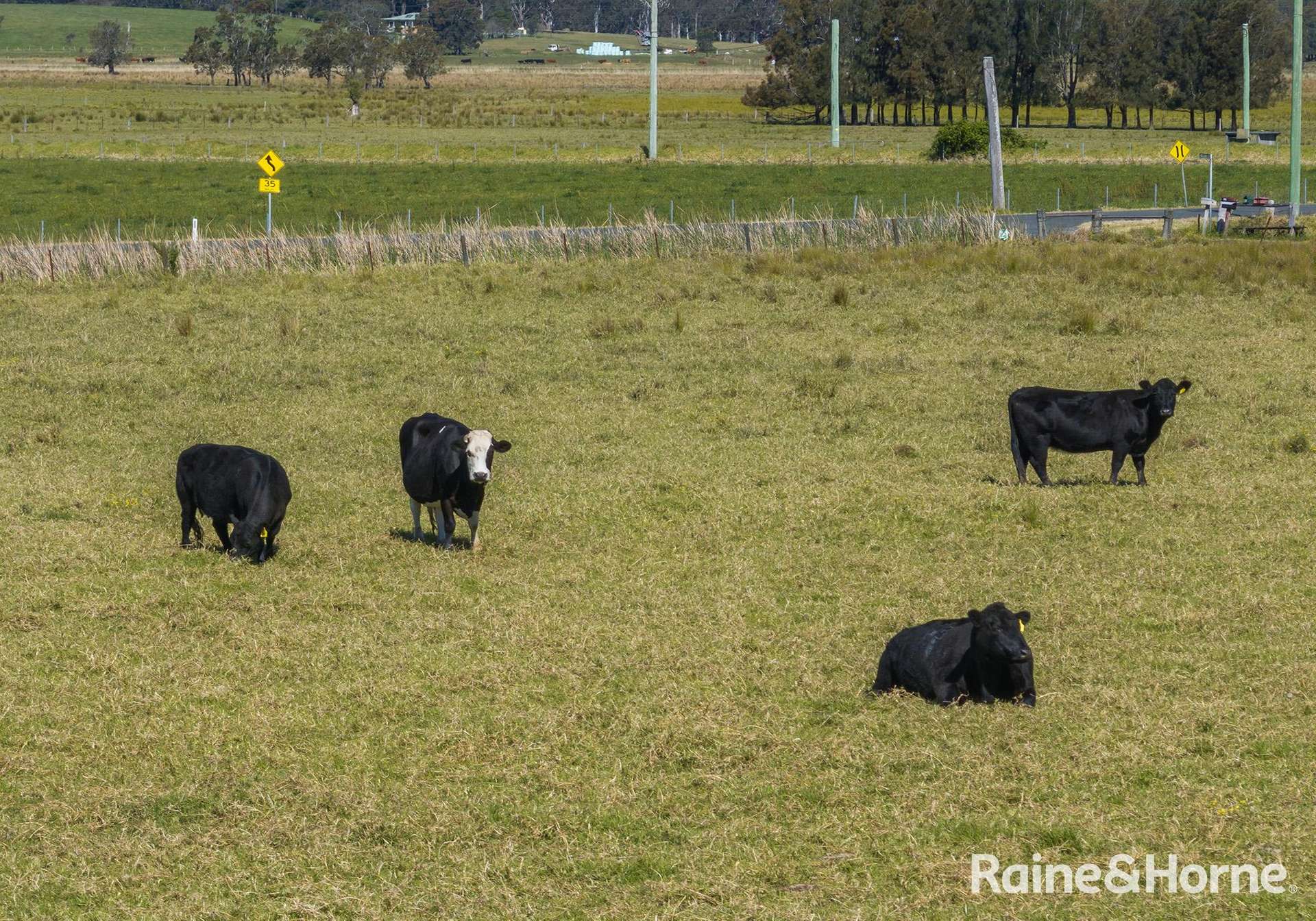 2 Toolijooa Road, Toolijooa Auction by Farmbuy.com - image 4