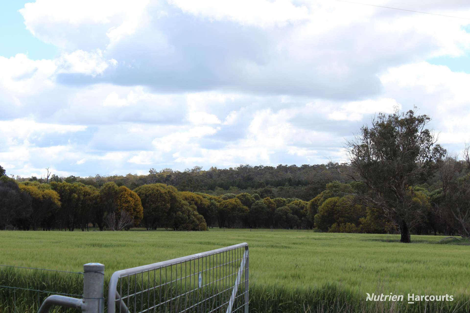 Lots 10632 & 25721 Strange Road, Jelcobine For Sale by Farmbuy.com - image 11