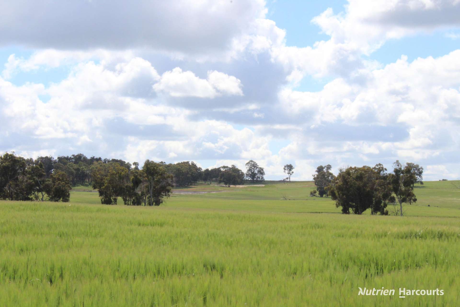 Lots 10632 & 25721 Strange Road, Jelcobine For Sale by Farmbuy.com - image 10